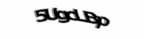 Security check image, please type the characters shown