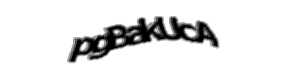 Security check image, please type the characters shown