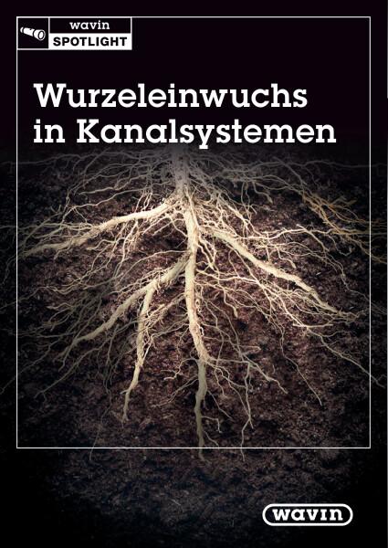 Wurzeleinwuchs in Kanalsystemen