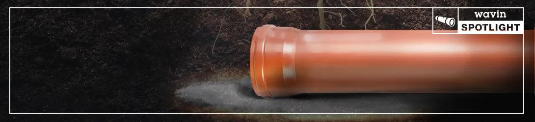 Wurzeleinwuchs in Kanalsystemen