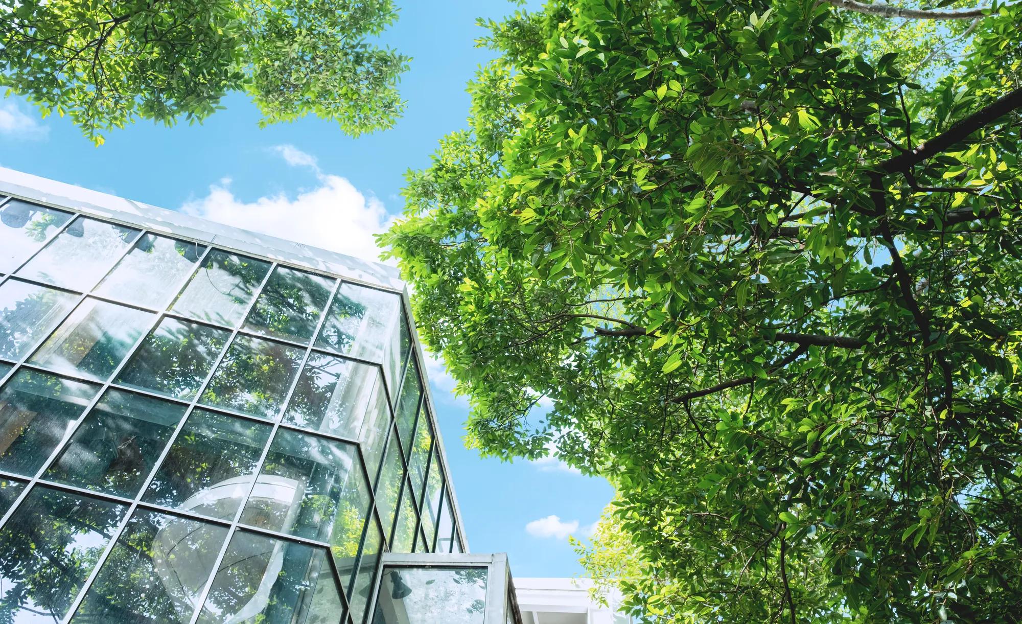 Modern glass office building with big trees around to reduce heat and carbon dioxide. Eco-friendly building and CO2 reduction corporate building. Sustainability concept