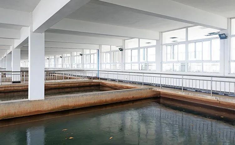 Biogene Schwefelsäurekkorosion von Beton
