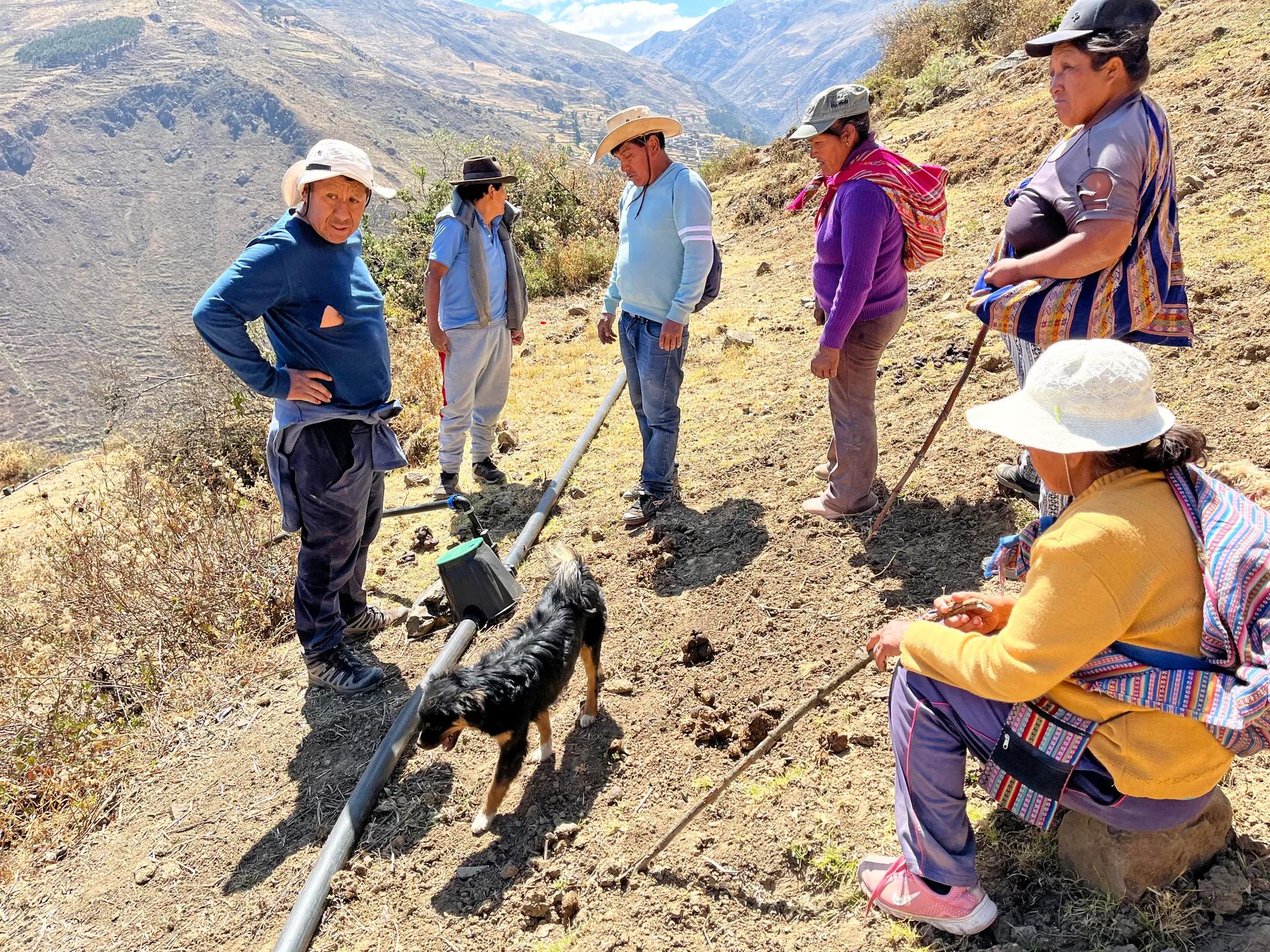 Social Inclusion Latam Projects 2024