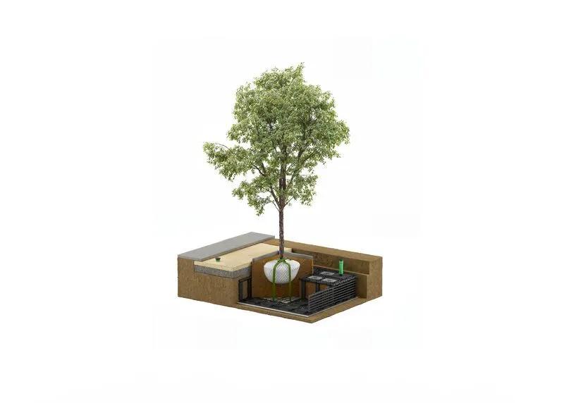 Wurzelschutz für Stadtbäume