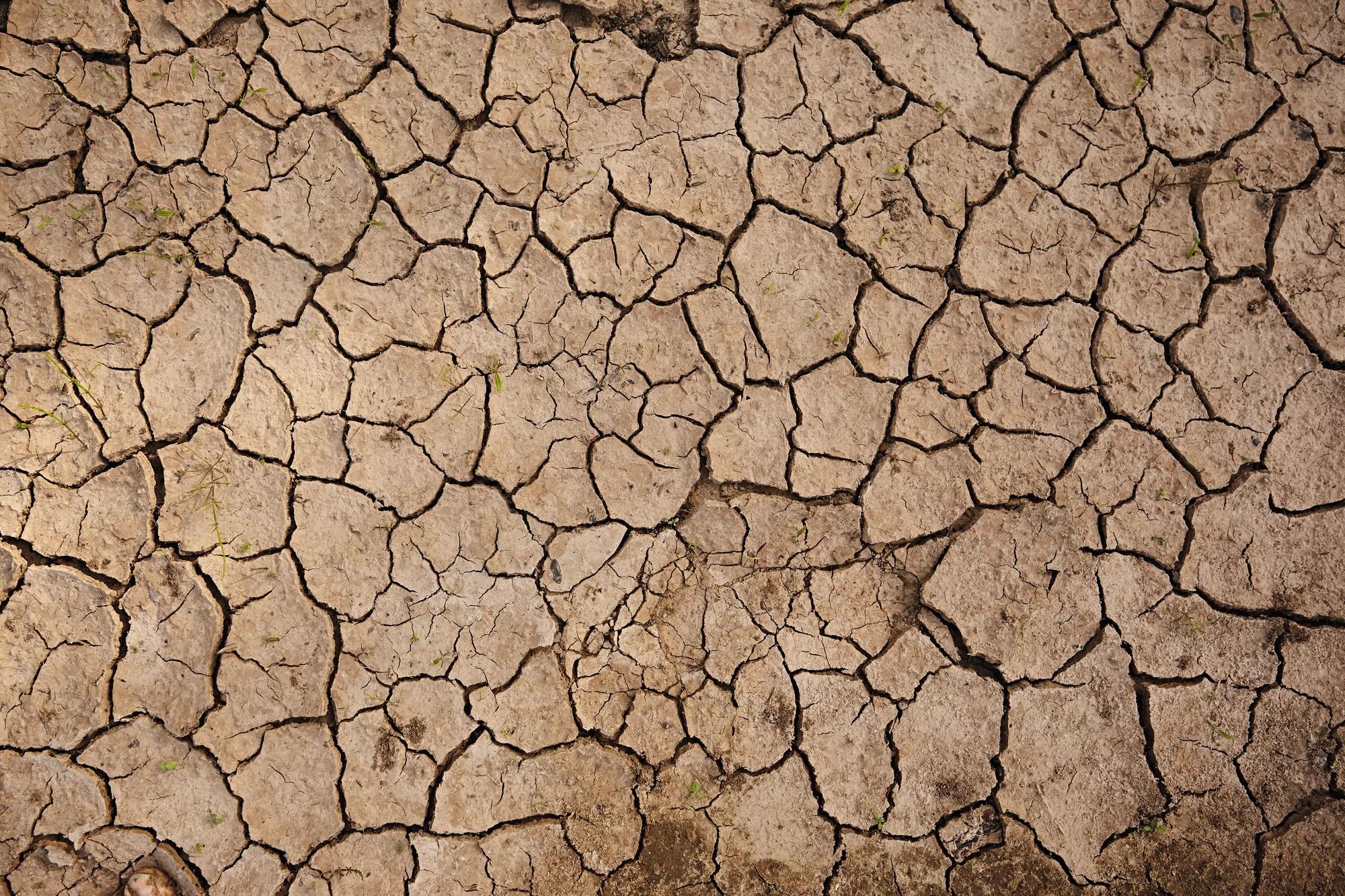 Texture of the dried earth with clay and sand, close-up