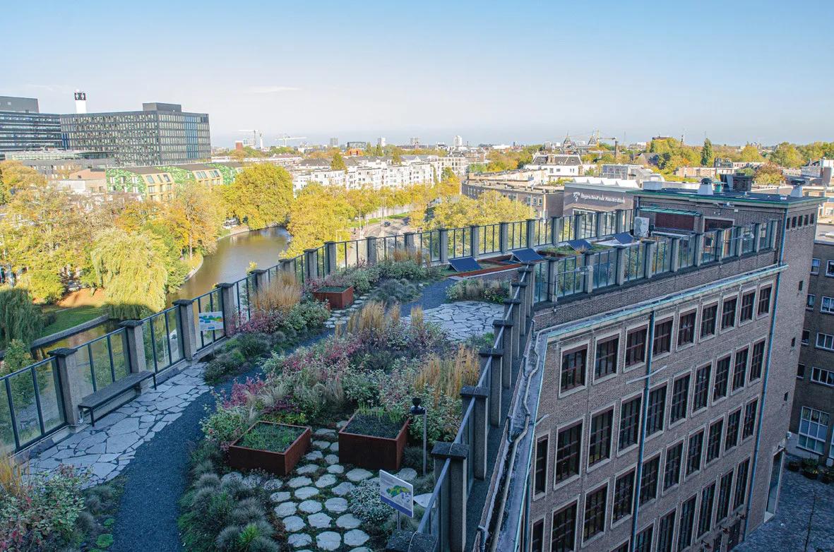 wavin_blue-green-roof_02