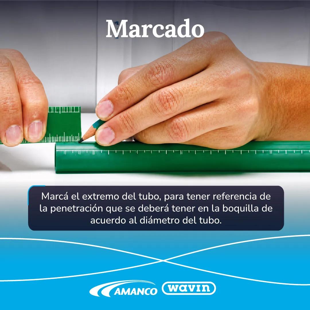 Paso 2