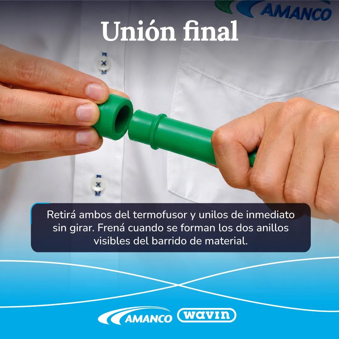 Paso 7