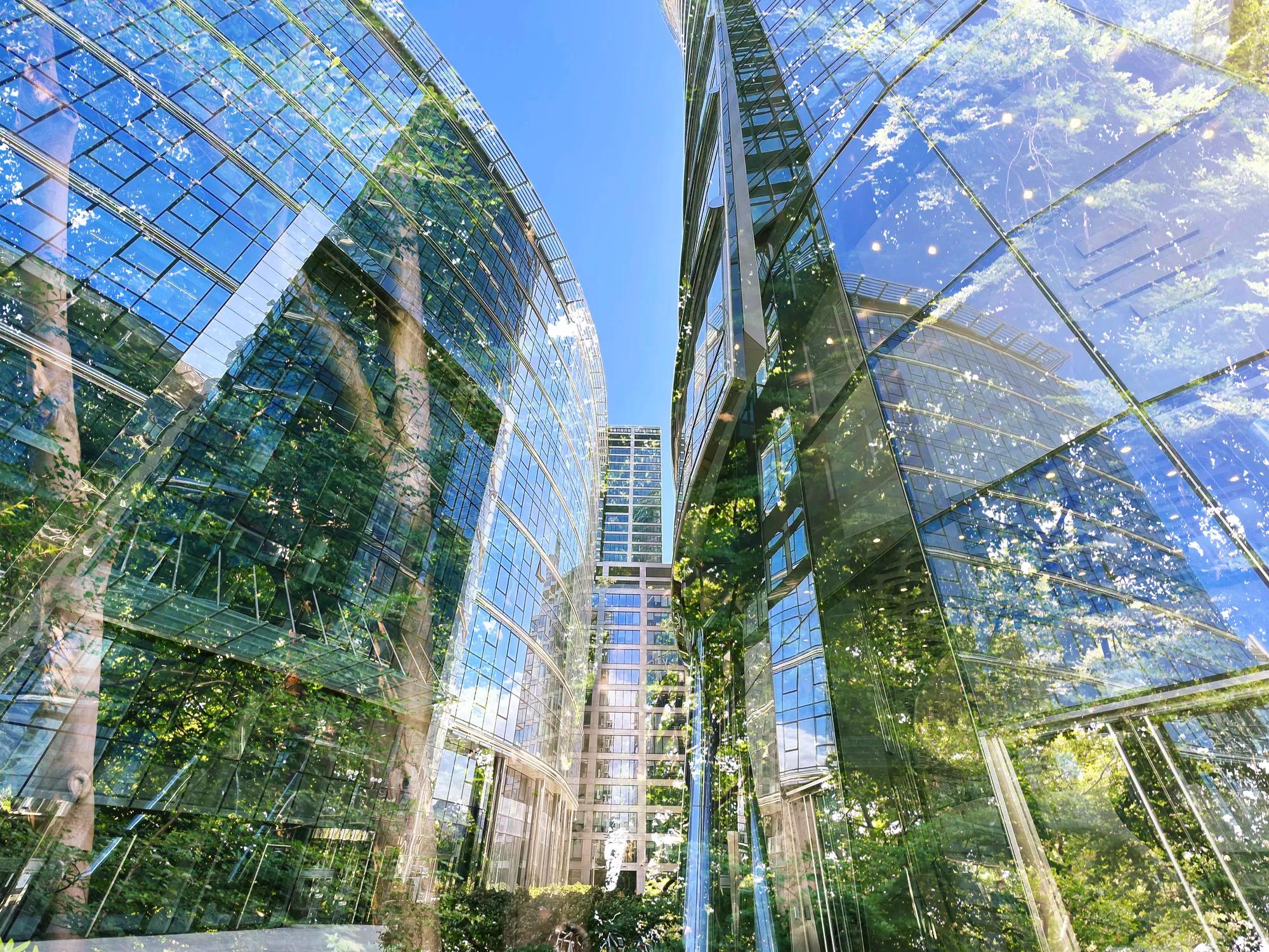 Environment. Modern buildings and trees, double exposure