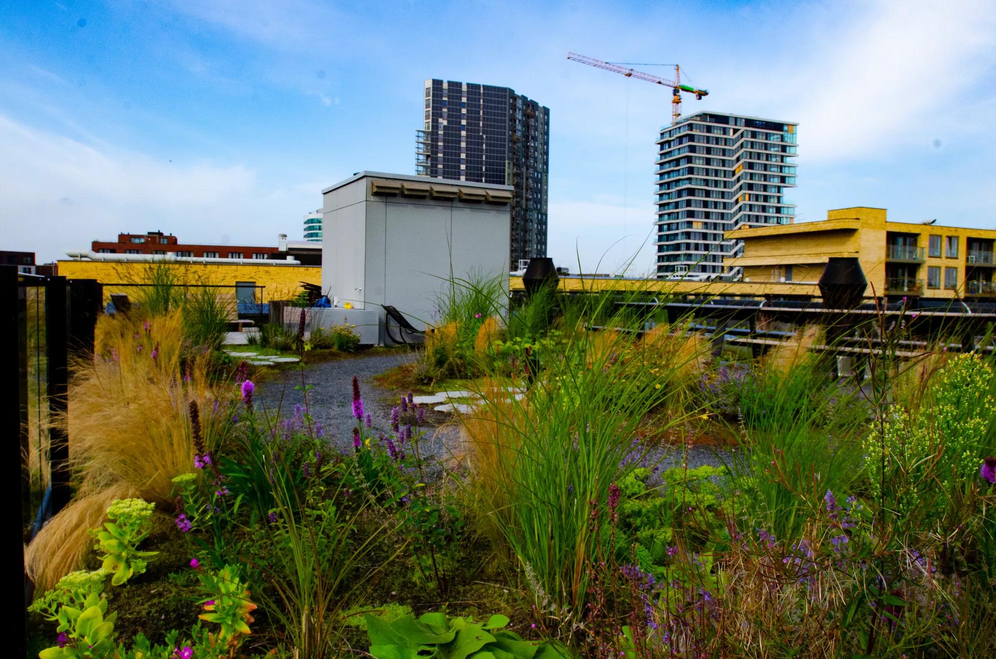 20210811_WiekeBraat_0091.jpg